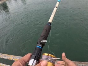 掌握钓鱼技巧，享受钓鱼乐趣（钓鱼技巧教学教程）