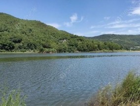 以升钟湖珠珠抛竿钓鱼的技巧（钓鱼高手分享实用经验）