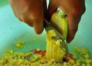 淡水钓鱼技巧与方法有哪些？如何提高钓鱼成功率？