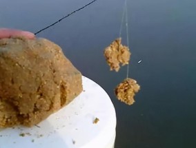 钓鱼技巧揭秘，解决鱼口变慢之谜（让你的鱼口瞬间变活跃，挑战极限钓鱼乐趣）