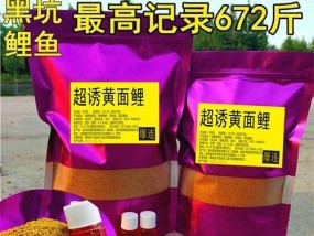 小黄面钓鱼的正确方法与技巧（掌握钓鱼技巧）