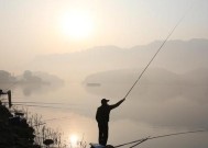 端午前后水库垂钓鲤鱼技巧有哪些？如何提高垂钓鲤鱼的成功率？