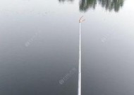 冬天钓鲫鱼时浮漂提竿的正确技巧是什么？如何提高钓获率？