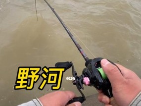 北方五月野河钓鱼技巧有哪些？如何提高钓鱼成功率？