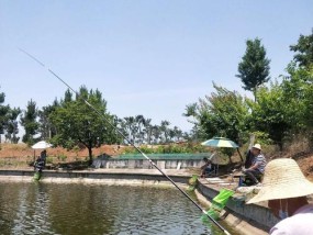 钓裸斑打浮技巧（掌握技巧，提高钓裸斑效果）