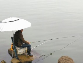 钓鱼小技巧大揭秘（掌握这1个，让你的钓鱼技巧瞬间提升）