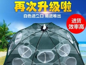 正确扔鱼笼钓鱼的技巧（掌握正确的投放技巧）
