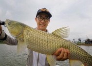 海南野钓技巧教程？如何在海南享受最佳野钓体验？