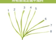 短子线钓鱼技巧说明？如何提高短子线钓鱼的成功率？