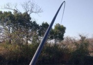 冬天野钓开口技巧和方法是什么？如何提高冬季钓鱼成功率？