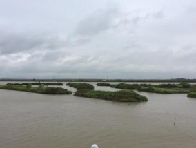 海竿野外钓草鱼技巧与方法（掌握钓草鱼的技巧）