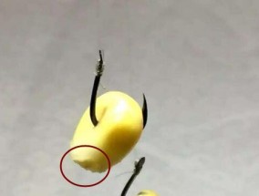 红薯钓鱼挂钩技巧你了解多少？如何提高钓鱼成功率？