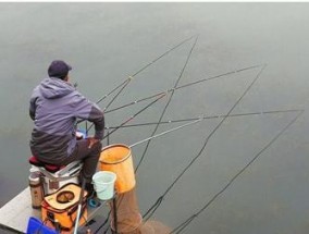 如何掌握钓鱼插针技巧？教程中常见问题有哪些解答？