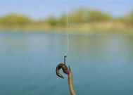 科学钓鱼蚯蚓调漂的正确方法和技巧（钓鱼蚯蚓调漂）