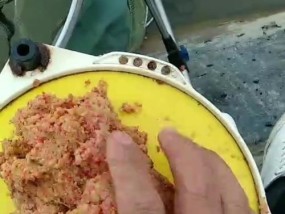 冬天黑坑鲫鱼夜钓偷驴技巧有哪些？如何提高夜钓成功率？