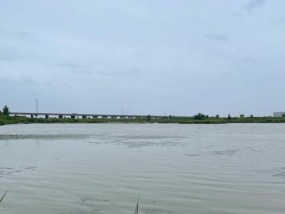 谷雨后北方钓鱼技巧有哪些？如何提高钓鱼成功率？