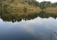 海竿串钩水库钓鱼技巧有哪些？如何提高钓鱼成功率？