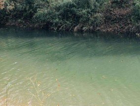 大水库用玉米钓鱼技巧有哪些？如何提高钓鱼成功率？