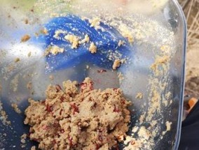 长江流域冬至钓鱼技巧（钓鱼技巧）