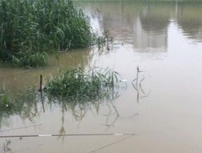 夏天暴雨下的钓鱼技巧（解密夏日暴雨中的捕鱼技巧）