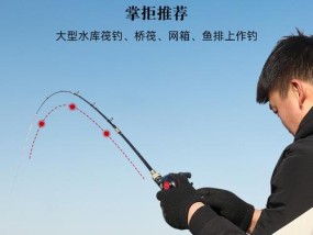 以筏钓竿套装选购技巧和方法（挑选适合筏钓的竿套装）