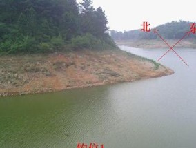 黑箐河水库钓鱼技巧（掌握黑箐河水库钓鱼技巧）