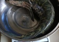 掌握抛竿钓黑鱼的小技巧（钓黑鱼）