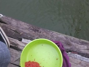 小坑塘钓鱼技巧（高效捕获鱼类的秘密）