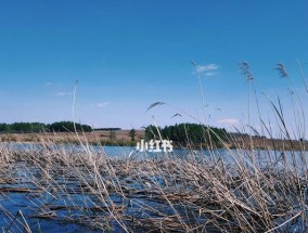 万亩湿地公园钓鱼技巧与方法（探秘湿地公园的钓鱼乐趣）