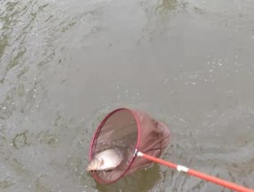 钓鱼座椅坐姿技巧（钓鱼座椅正确坐姿的关键和常见错误）
