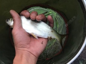 技巧分享（掌握合适钓位）