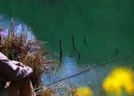 最佳钓鱼地点在哪里？如何通过钓鱼赚钱？