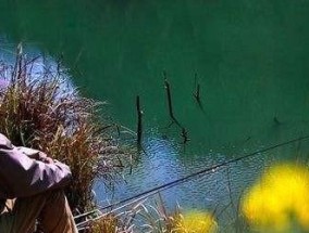最佳钓鱼地点在哪里？如何通过钓鱼赚钱？