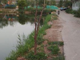 钓鱼不断线的技巧是什么？如何保持钓线不断？