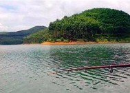 短竿野河钓鱼技巧有哪些？如何提高钓鱼成功率？