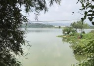 鱼池钓鱼搓饵技巧（精通搓饵）