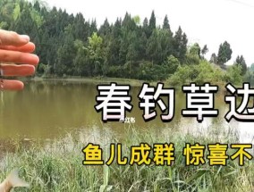 春天钓鱼的最佳时间与技巧（把握春季温暖的时刻，享受钓鱼的乐趣）