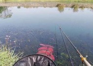 夏季阴天钓鱼的技巧分析（钓鱼技巧）