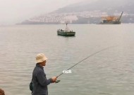 冬天钓鱼技巧小窍门？如何在寒冷季节提高钓鱼成功率？