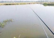 冬天钓鱼应该注意什么？有哪些有效的技巧可以提高渔获？