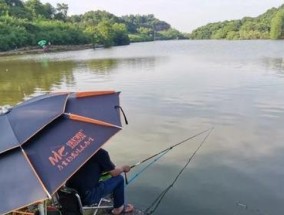 钓鱼之道（揭秘钓鱼路的黑客技巧，保护你的个人信息和财产安全）