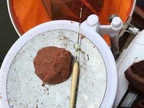 骆马湖黑蚯蚓钓鱼技巧（探索骆马湖的丰富渔场）