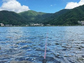 宝应湖钓鱼技巧有哪些？如何提高钓鱼成功率？