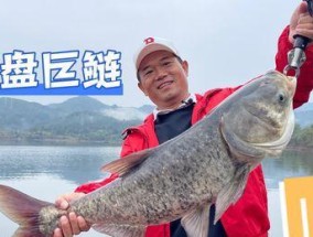 钓浮之道——钓鲢鳙技巧（掌握技巧，轻松钓上美味的鲢鳙鱼）