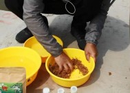 冬天野钓技巧饵料怎么选？哪些饵料最吸引鱼？