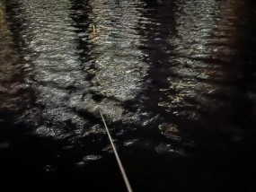 夜钓技巧大揭秘（钓鱼高手分享的夜钓经验）