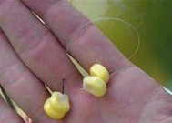 冬天钓浮时如何调漂？有哪些技巧可以提高成功率？