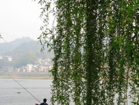 春天水域枯草钓鱼技巧（掌握这一技巧，提升你的垂钓成功率！）