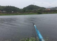 冬天钓鱼用技巧有哪些？如何应对冬季钓鱼的常见问题？