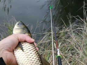 秋季野外小河钓鱼打窝的技巧与方法（如何在秋季小河中提高钓鱼效果？）